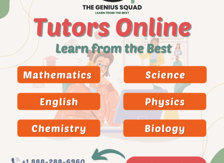 Online Tutoring in USA