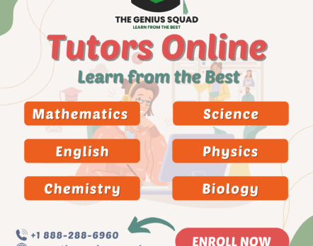 Online Tutoring in USA