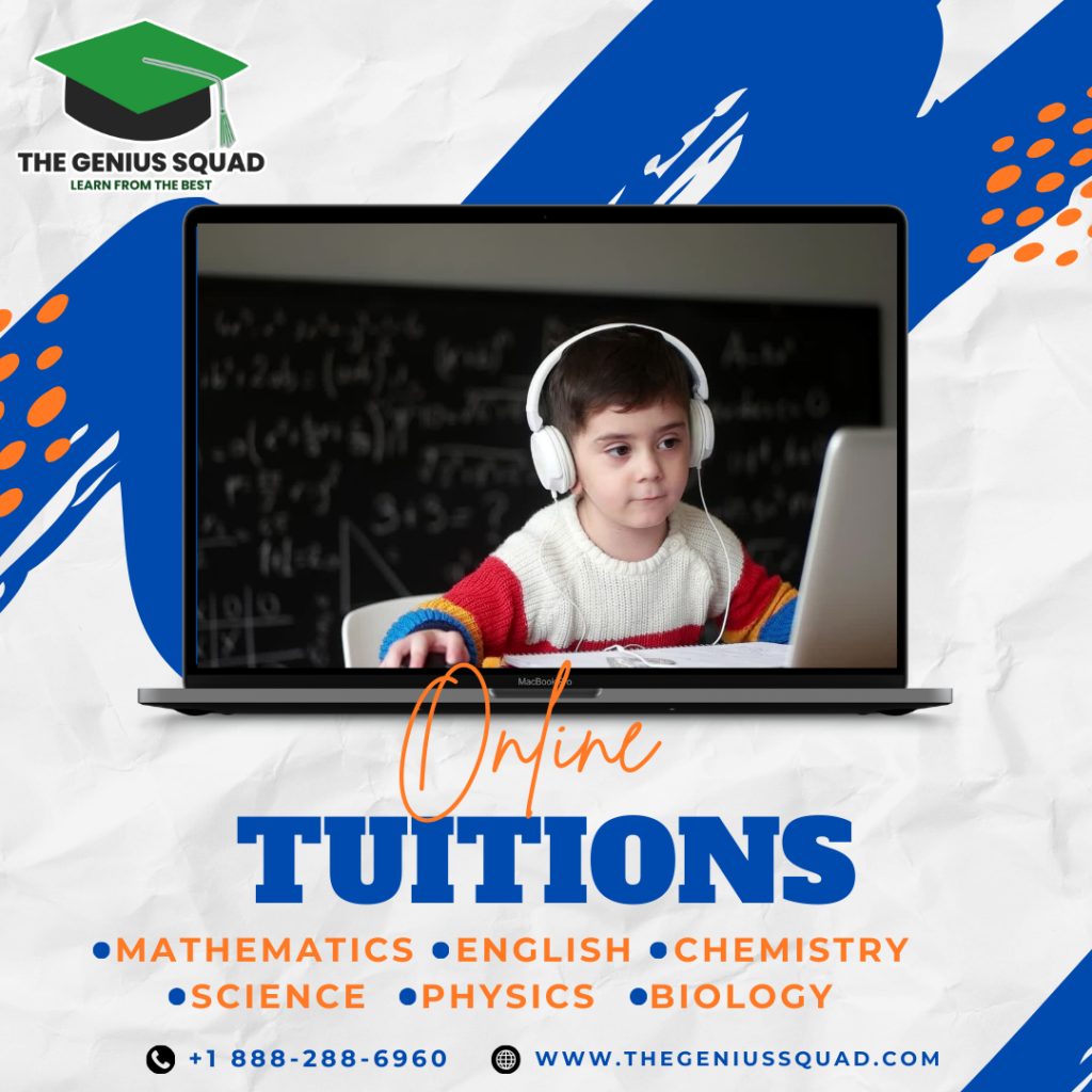 Private 1-on-1 Online Tuition Classes