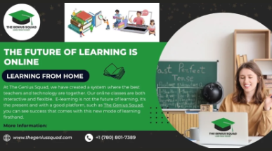 Debunking Misconceptions Regarding Online Tutoring